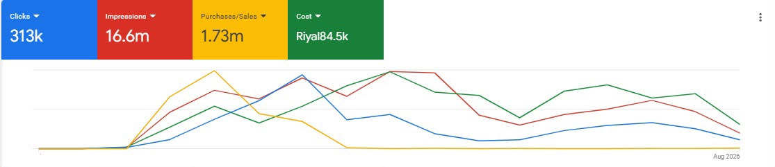 Google Ads Saudi sales performance